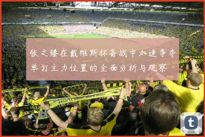 张之臻在戴维斯杯备战中加速争夺单打主力位置的全面分析与观察